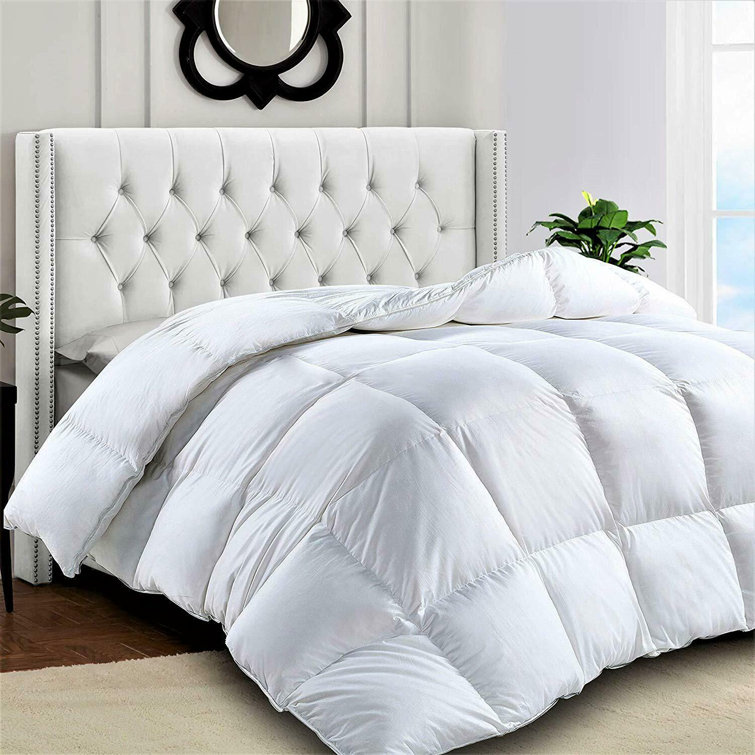 Alwyn Home Lightweight Down Alternative Comforter & Reviews Wayfair